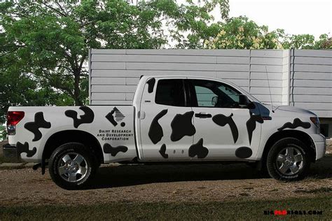 Moo-ve Over for this Cow Print Car Wrap